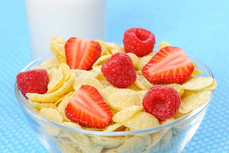 Cereal in bowl stock photo. Image of domestic, berry 24496244