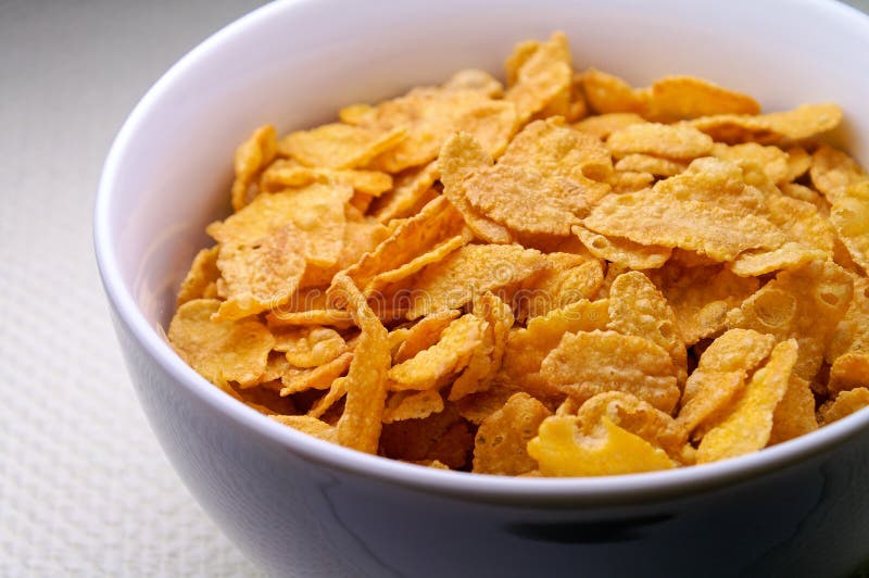 Cereal Bowl stock photo. Image of food, bowl, flakes, dish 106348