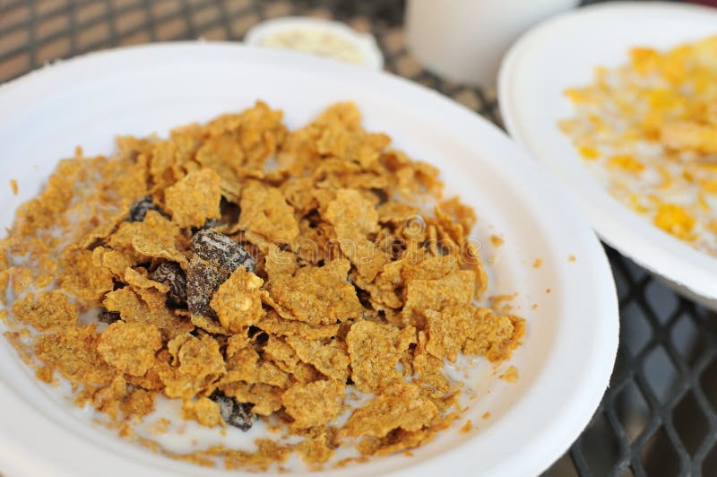 Cereal with dried fruits stock photo. Image of cereal 19773570