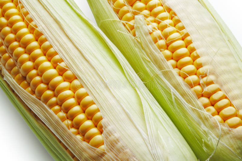 RMMD Costume Da Taco Per Adulti, Divertente, Per Halloween, Unisex