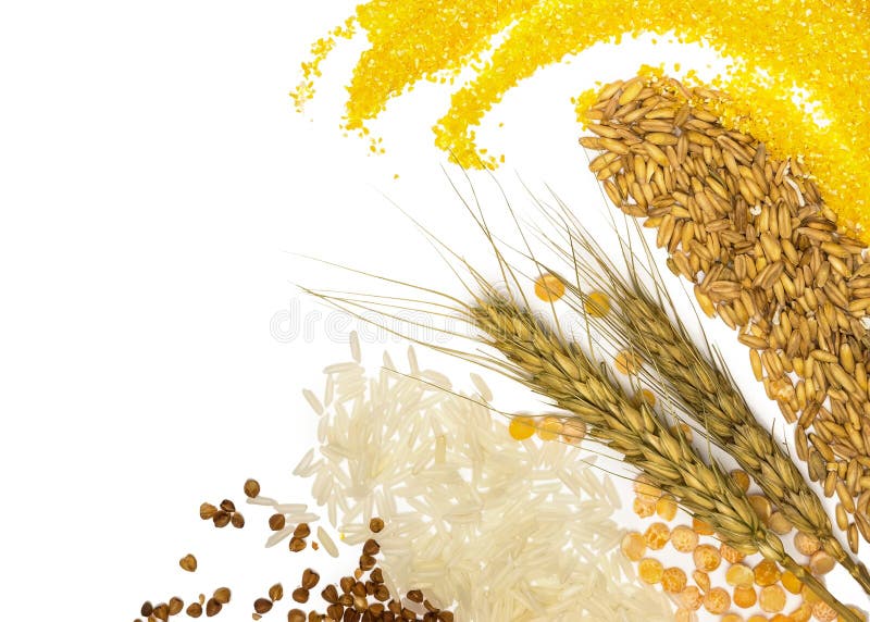 Cereales - maíz, trigo, alforfón, mijo, centeno, arroz y guisantes imágenes de archivo libres de regalías Cereales - maíz, trigo, alforfón, mijo, centeno, arroz y guisantes imágenes de archivo libres de regalías