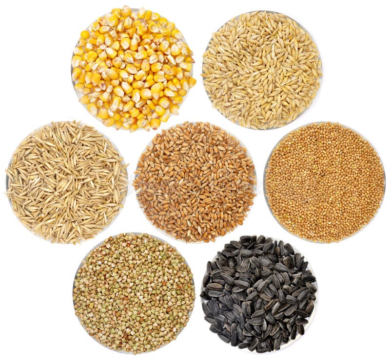 Cereals set isolated stock photo. Image of cereals, pile 188367688