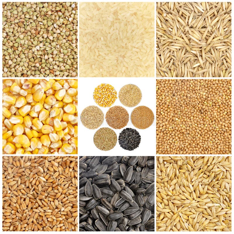 Cereals set isolated stock photo. Image of cereals, pile 188367688
