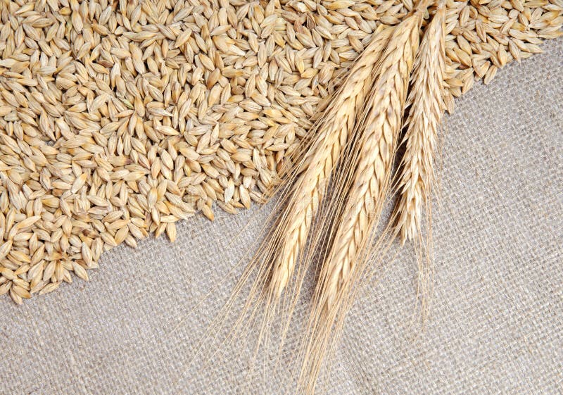 Cereals on burlap background