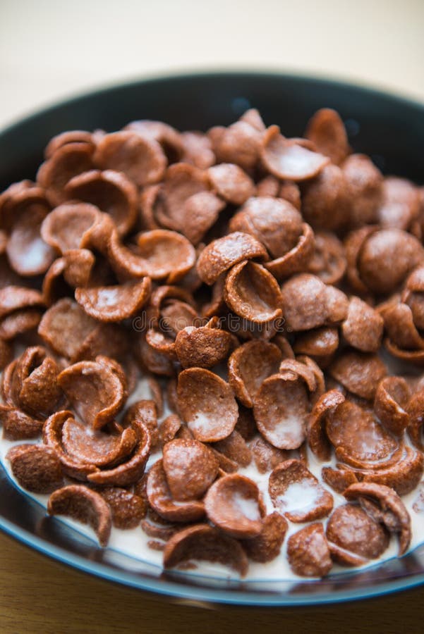 Chocolate Cereals With Fresh Milk Stock Image Image of ball, closeup