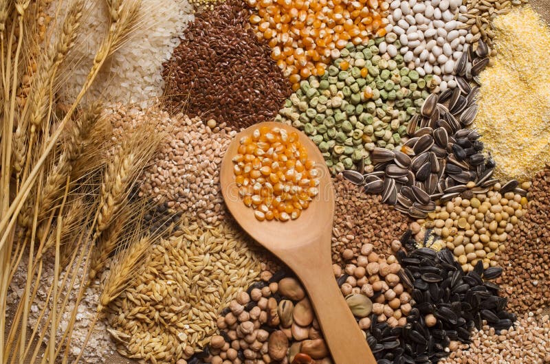 Cereal Grain Seeds Collection Stock Photos Download 2,538 Royalty