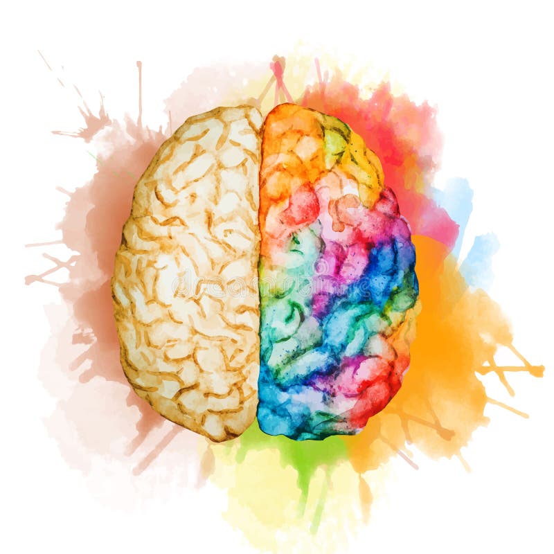 Cerebro de la acuarela stock de ilustración
