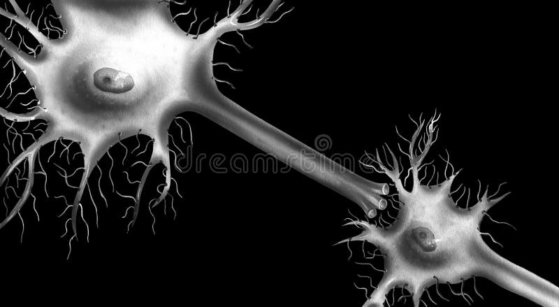 Cerebro - neuronas libre illustration Cerebro - neuronas libre illustration