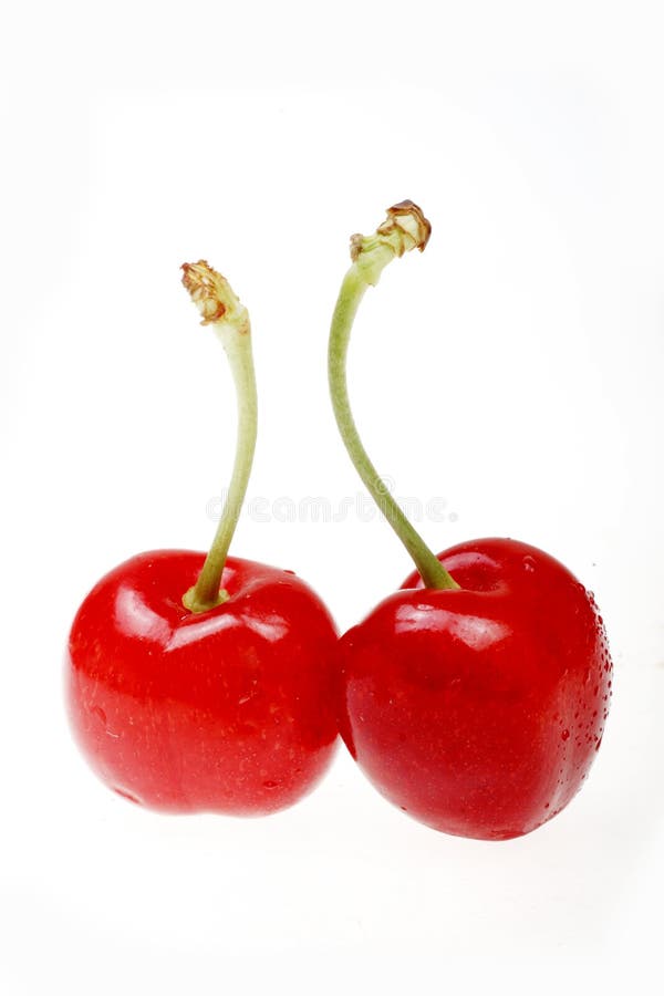 Sweet cherry with water drops isolated on white background. Sweet cherry with water drops isolated on white background