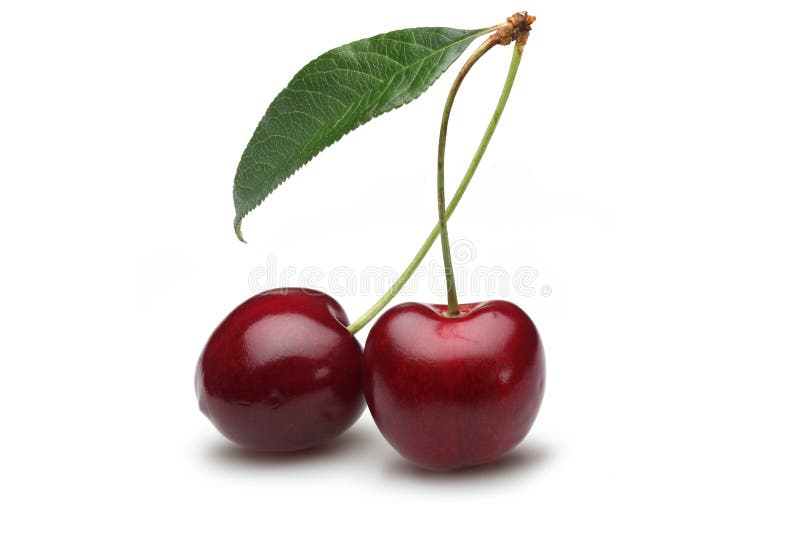 Cereja fotografia de stock royalty free