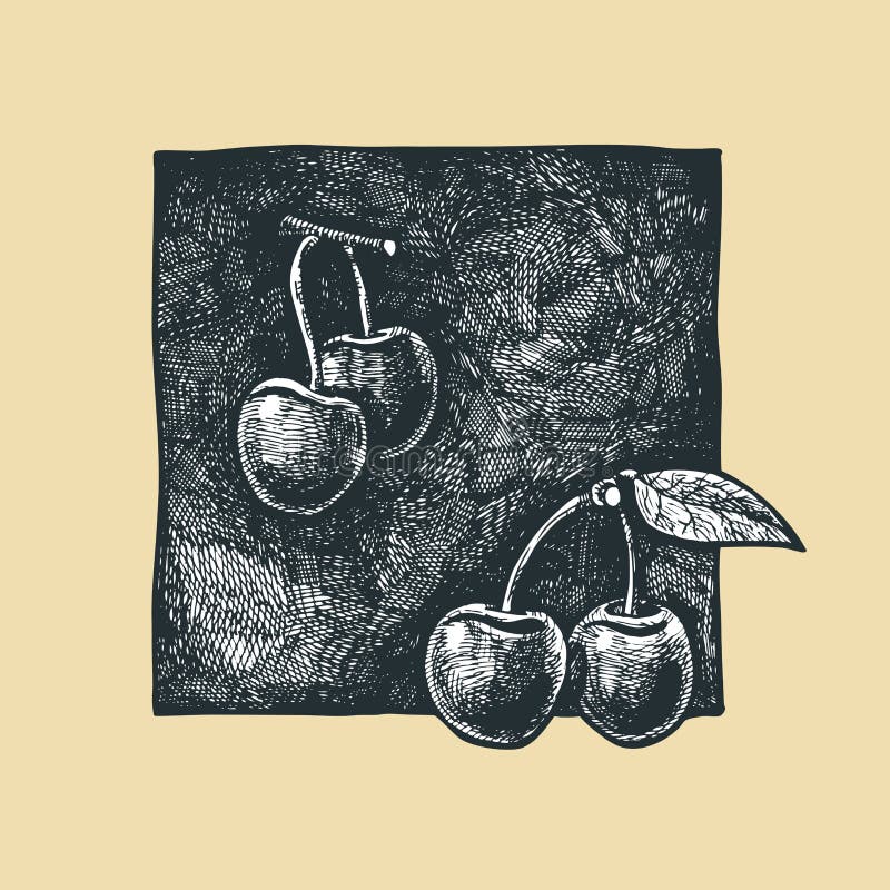 Cerejas ilustração royalty free Cerejas ilustração royalty free