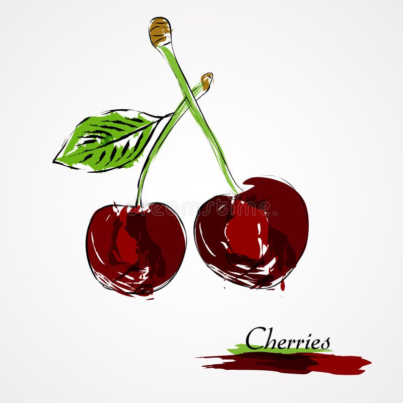 Cerejas ilustração do vetor Cerejas ilustração do vetor