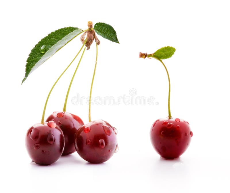 Cerezas aisladas en el fondo blanco imagenes de archivo Cerezas aisladas en el fondo blanco imagenes de archivo