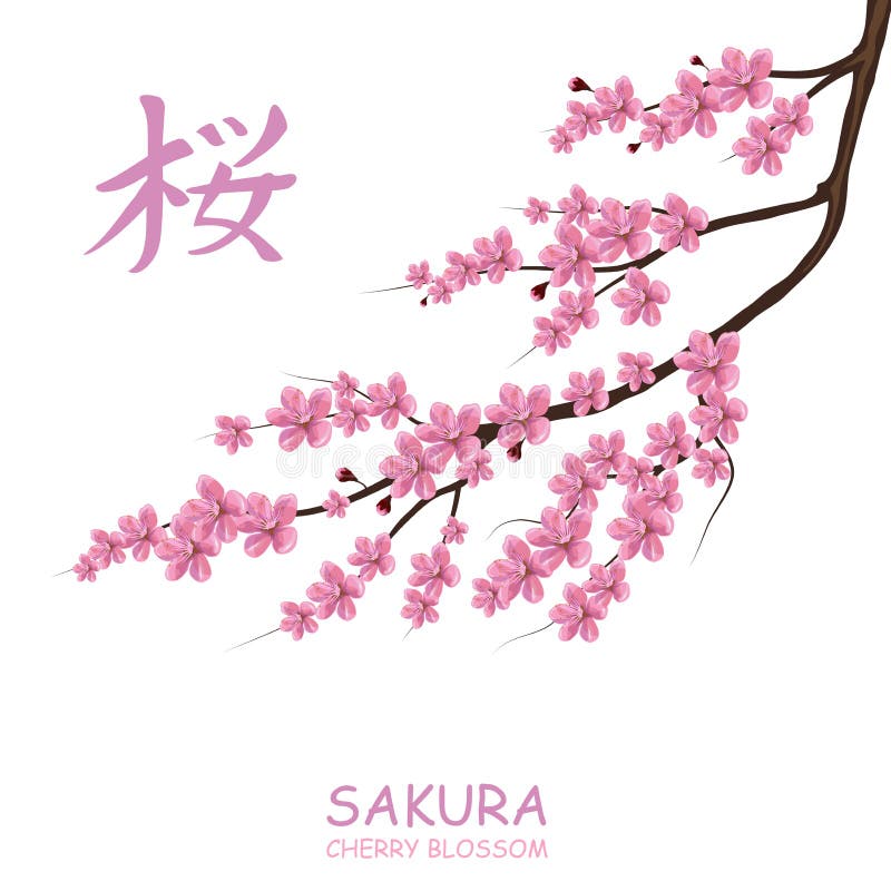 Cerezo del flor Japonés tradicional Sakura stock de ilustración Cerezo del flor Japonés tradicional Sakura stock de ilustración