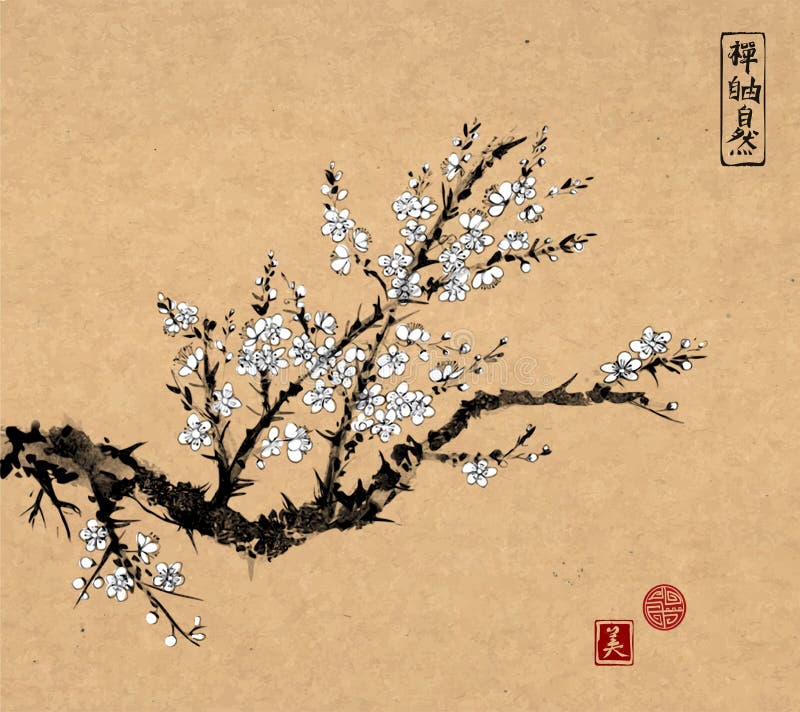Cerezo oriental de Sakura en flor en fondo del vintage Sumi-e oriental tradicional de la pintura de la tinta, u-pecado, ir-hua libre illustration Cerezo oriental de Sakura en flor en fondo del vintage Sumi-e oriental tradicional de la pintura de la tinta, u-pecado, ir-hua libre illustration