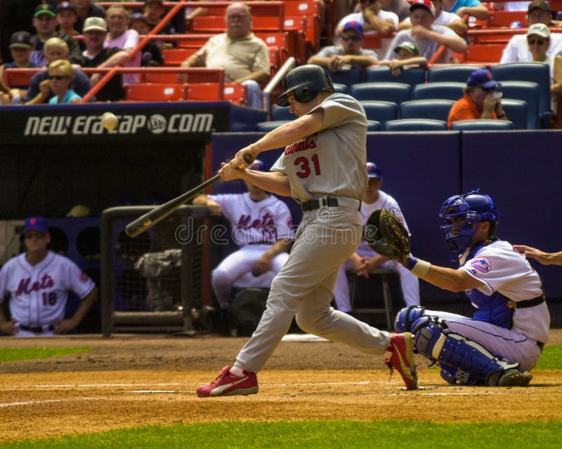 Cerf de la BO, St Louis Cardinals images libres de droits Cerf de la BO, St Louis Cardinals images libres de droits