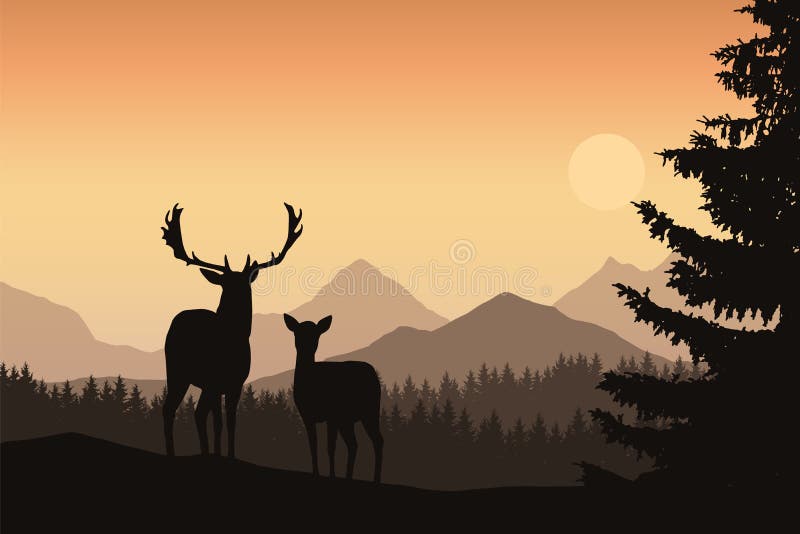 Cerfs communs et de derrière dans un paysage de montagne avec la forêt conifére et illustration libre de droits