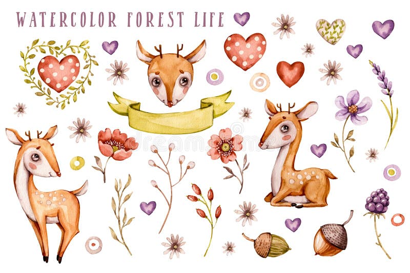 Cerfs mignons de bébé, fleurs de forêt, feuilles Ensemble animal de pépinière Illustrations d'isolement pour les enfants illustration libre de droits