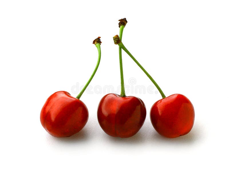 cerise trois images libres de droits cerise trois images libres de droits