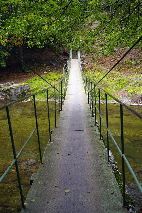 Bridge in forest over Cerna River, Romania