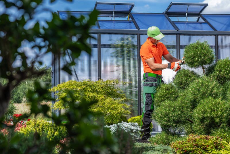 Cerniere da giardino con palangari di superficie in un giardino botanico con cielo limpido fotografia stock libera da diritti