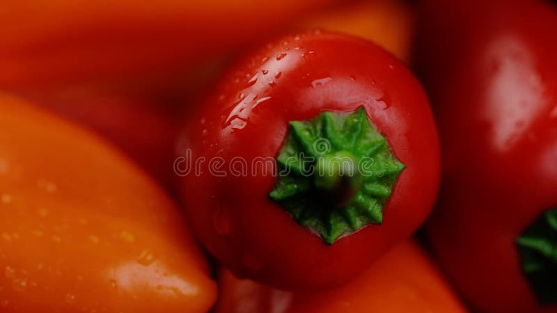 Cerrar el plan de macro rotatorio. pimientos amarillos naranja y rojo dulces colores vivos de vuelta en el fondo negro almacen de metraje de vídeo