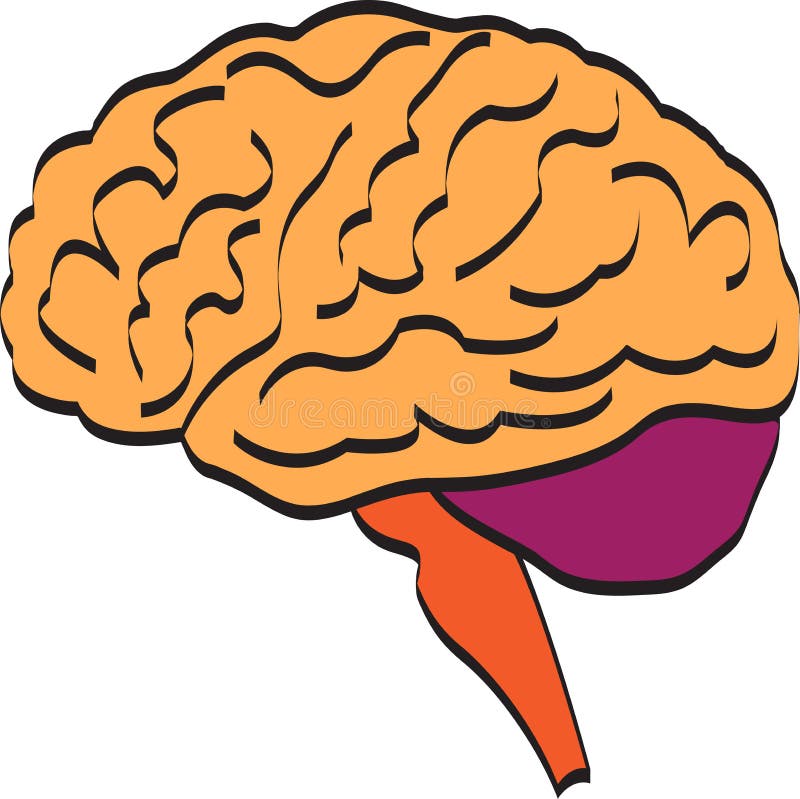 A vector drawing represents brain design. A vector drawing represents brain design.