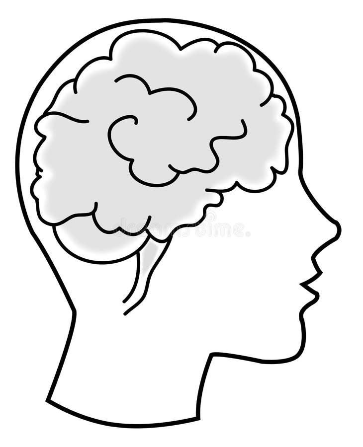 Vectorial illustration of a head with brain in black and white. Vectorial illustration of a head with brain in black and white