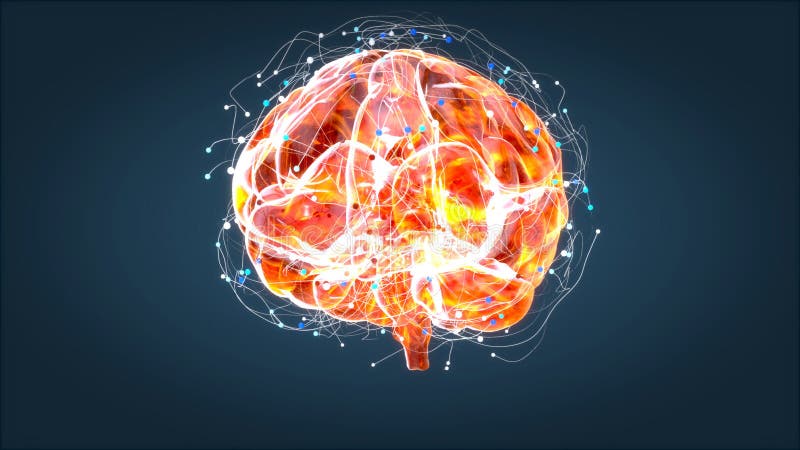 Cerveau xray, anatomie humaine, neurones animés 3D illustration de vecteur