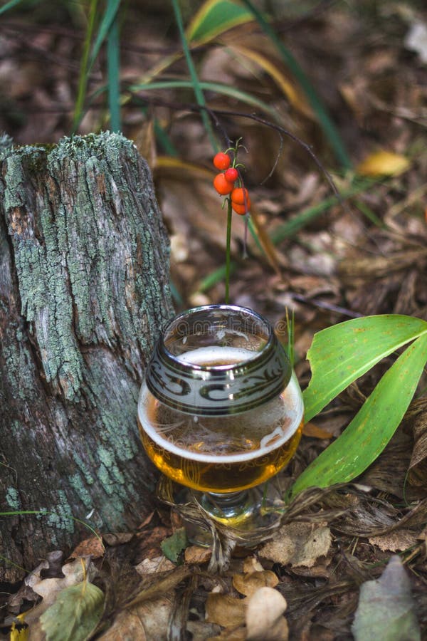 Cerveza en el bosque con las bayas imagen de archivo Cerveza en el bosque con las bayas imagen de archivo