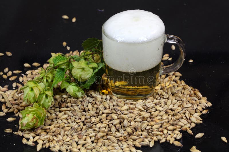 Cerveza, saltos y malta imagen de archivo libre de regalías Cerveza, saltos y malta imagen de archivo libre de regalías