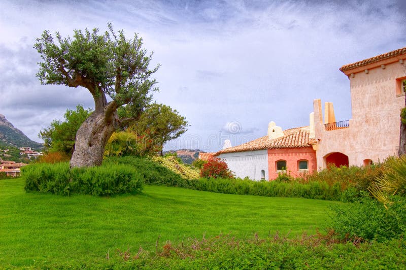 cervo hdr Πόρτο στοκ φωτογραφίες με δικαίωμα ελεύθερης χρήσης cervo hdr Πόρτο στοκ φωτογραφίες με δικαίωμα ελεύθερης χρήσης