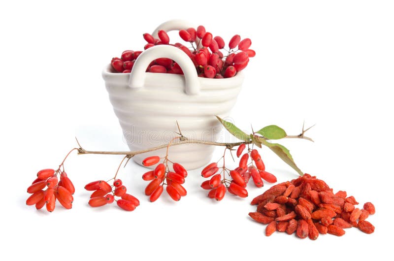 Cesta de la porcelana con los berberries fotos de archivo Cesta de la porcelana con los berberries fotos de archivo