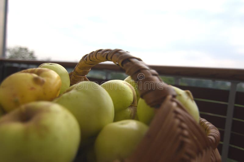 Cesta de manzanas foto de archivo libre de regalías Cesta de manzanas foto de archivo libre de regalías
