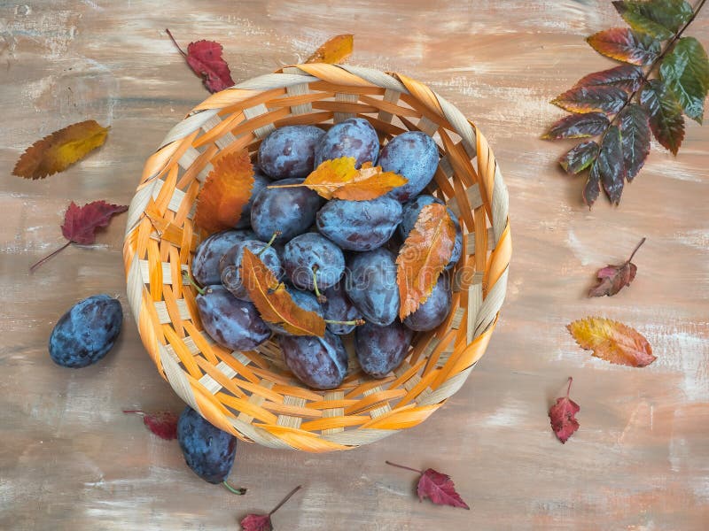 Cesta de mimbre con los ciruelos y las hojas de otoño maduros en un fondo de madera marrón imagen de archivo Cesta de mimbre con los ciruelos y las hojas de otoño maduros en un fondo de madera marrón imagen de archivo
