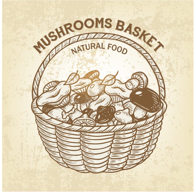 Cesta del vector con las setas comestibles Bosquejo realista de la comida natural del bosque, esquema, diseño retro ilustración del vector Cesta del vector con las setas comestibles Bosquejo realista de la comida natural del bosque, esquema, diseño retro ilustración del vector