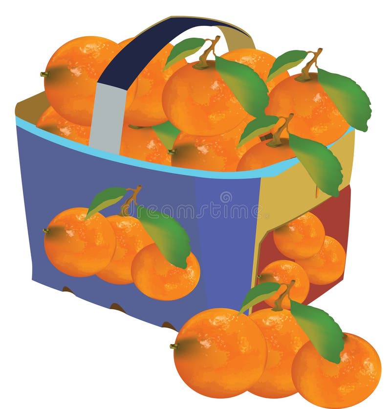 Cestello di cartone riciclabile per il trasporto di frutta e alimenti