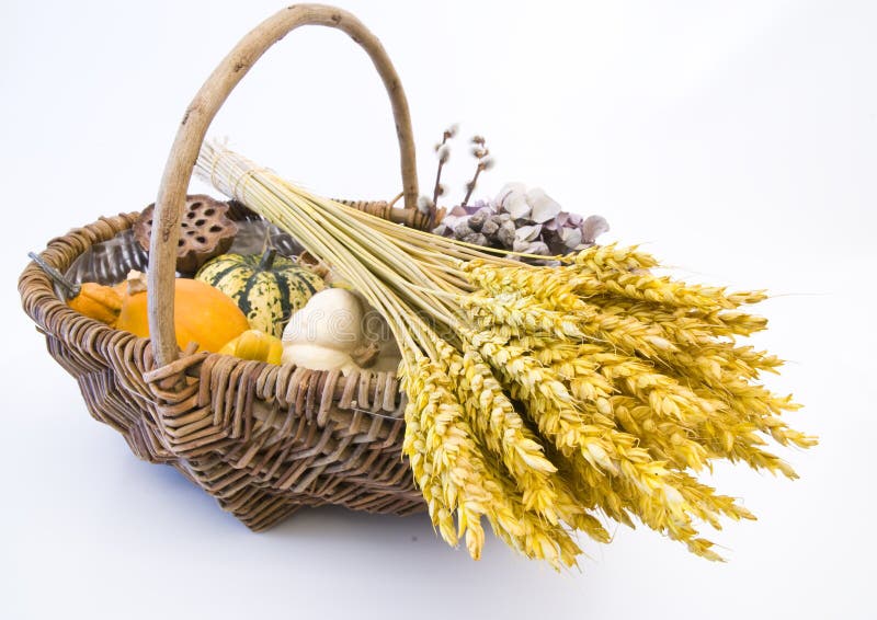 Set 2 Cestini Pane In Legno D'Ulivo | Naturali | Fatti A Mano | &Oslash; 25-29 Cm | Per Pane, Frutta, Decorazione