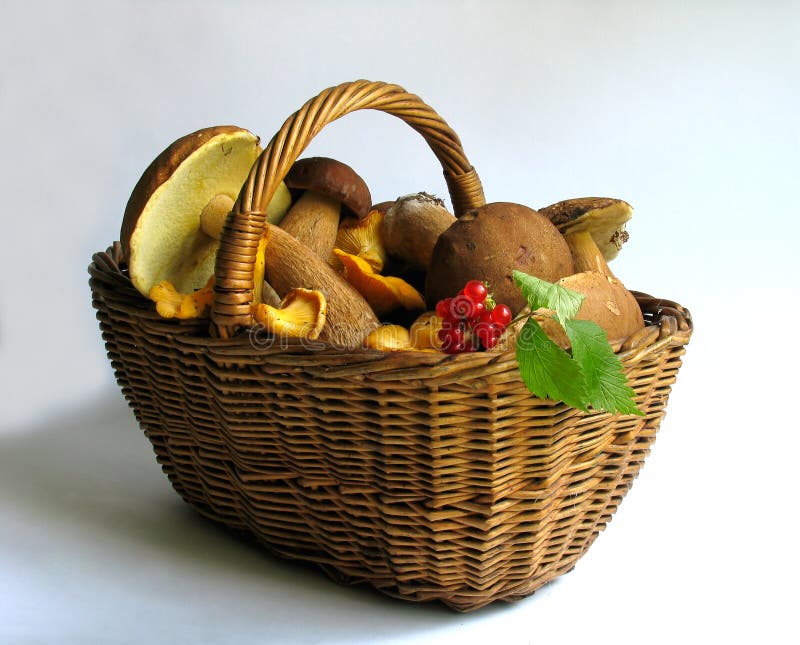 Cesto Per Funghi E Fiori Cesta Pic Nic HJHIWE Cesto Di Fiori In Vimini Intrecciato Realizzato A Mano, Per Cesto Vimini Funghi Cestino Per Raccolta Funghi E Fiori