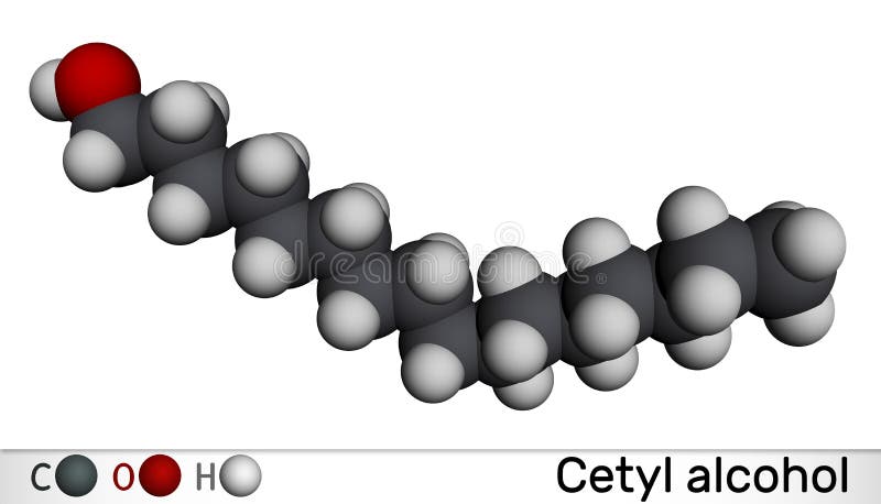 Cetyl alcohol molecule, illustration - Stock Image - F030/5197 - Science  Photo Library