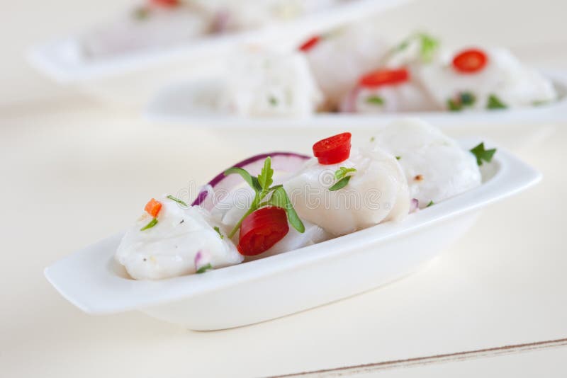 Ceviche image libre de droits