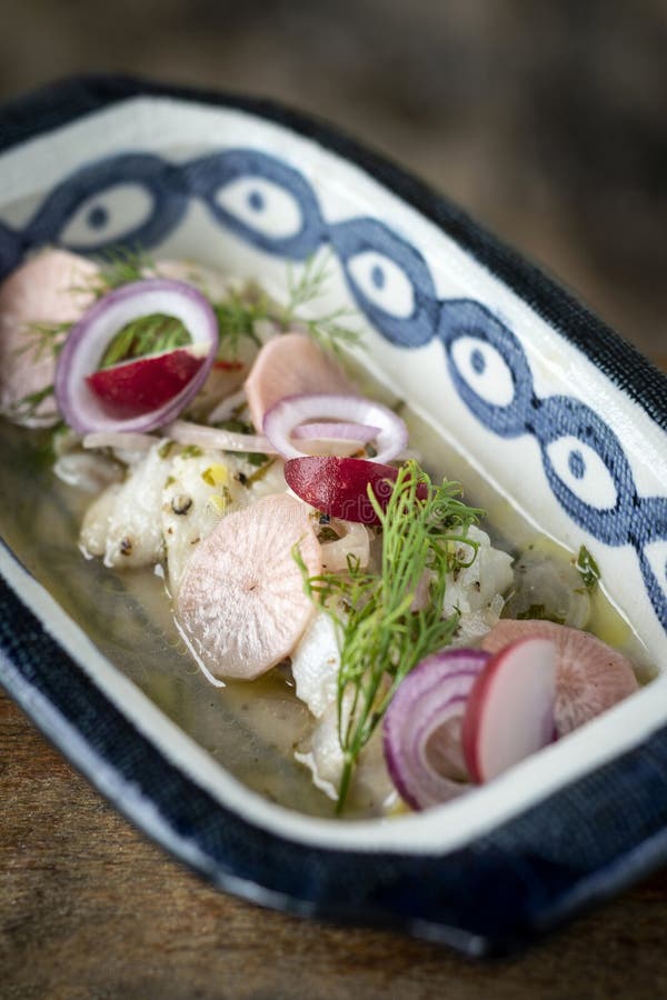 Ceviche Marinated Fish Salad with Vegetables Stock Photo Image of