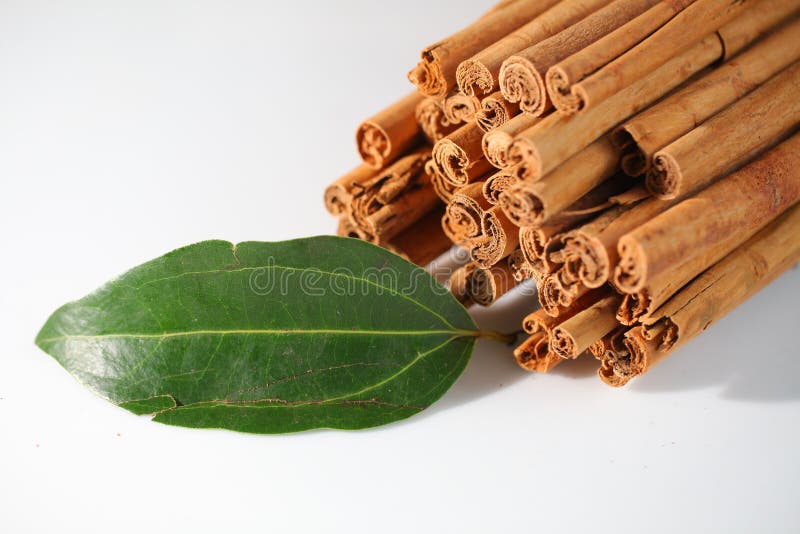 Natural Ceylon Cinnamon Sticks Wholesale Packaging Stock Photo Image