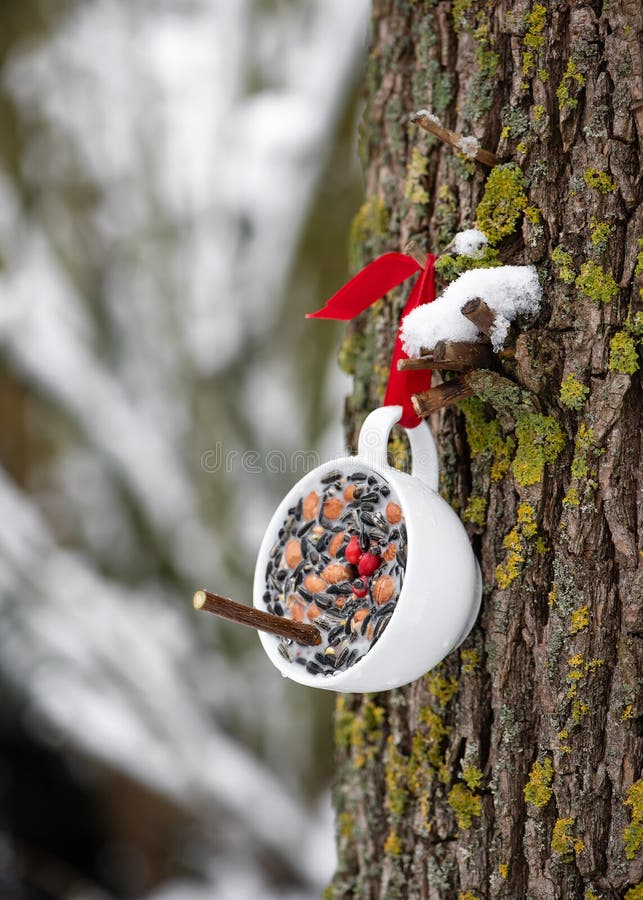 Garrafa pequena de xarope para tosse caseiro feito de topos de abeto em um  toco de árvore com brotos de pinheiro jovens