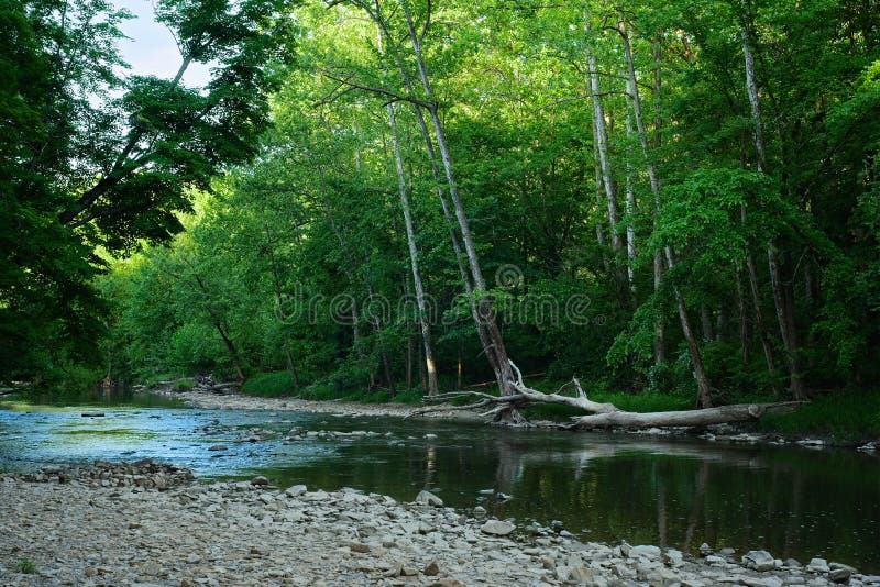 The Chagrin River at dusk