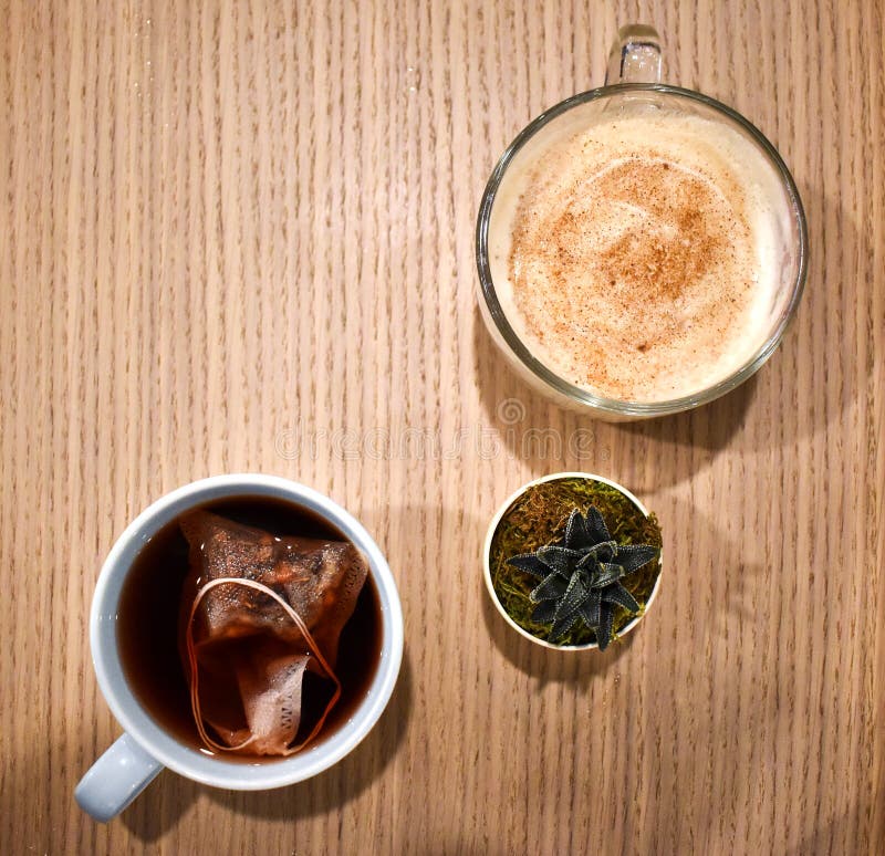 Chai latte, thee, en succulent stock afbeeldingen Chai latte, thee, en succulent stock afbeeldingen