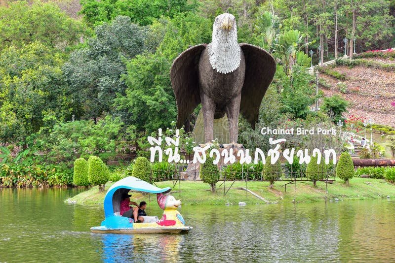 Chai Nat la Tailandia 26 dicembre 2019 vede che gli uccelli a Chai NAT Bird Park ? un posto della provincia del chainat La gabbia fotografia stock Chai Nat la Tailandia 26 dicembre 2019 vede che gli uccelli a Chai NAT Bird Park ? un posto della provincia del chainat La gabbia fotografia stock