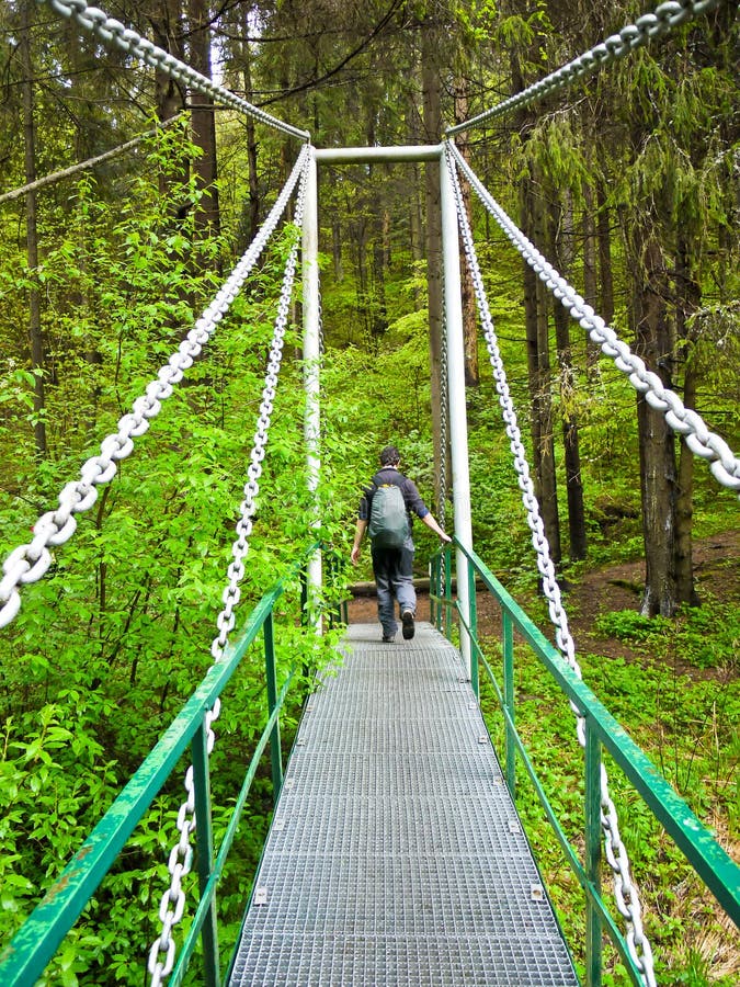 Chain Bridge stock photo. Image of green, chain, high 25982136