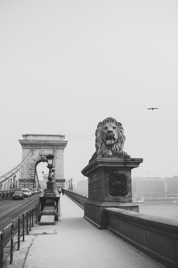 The Chain Bridge, Budapest in Black and White stock image The Chain Bridge, Budapest in Black and White stock image
