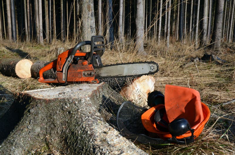 Chain saw, helmet on tree stump